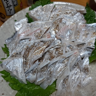 太刀魚の炙り 刺身